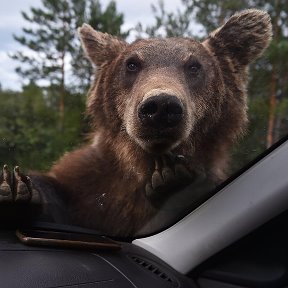 Фотография от Юрий Коковин