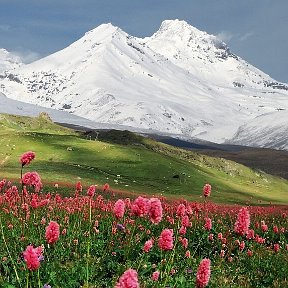 Фотография от Armenia jan