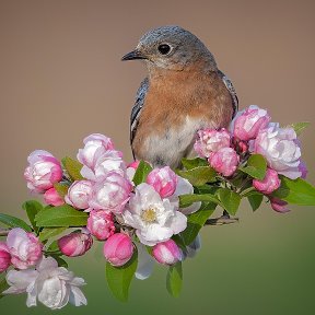 Фотография от Юлия Соловьева (Гордеева)