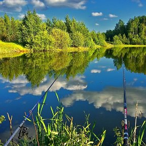 Фотография от Ольга Кирюхина (Гайворонская)