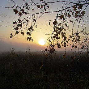 Фотография от Александр Фролов