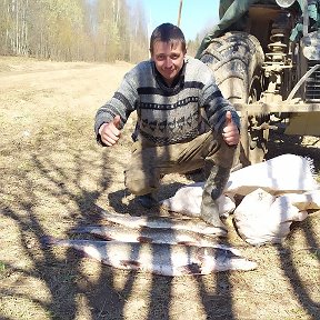 Фотография от Владимир Гусельников