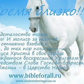 Фотография "✨ WWW.TMHL.RU 
✨https://cloud.mail.ru/public/zYFB/H8fLURCmC                          
               ✨ https://mybible.ws/smysl-chelovecheskoy-zhizni/"