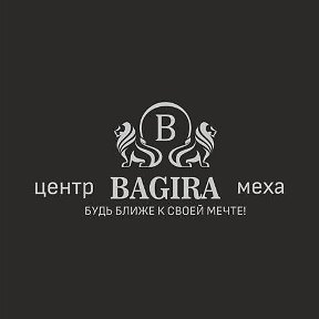 Фотография от Центр Меха BAGIRA