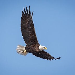 Фотография от Мухаммад Абдусаматов