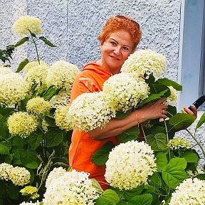 Фотография "Сегодня на ВДНХ. Не могла пройти мимо такой красоты !"