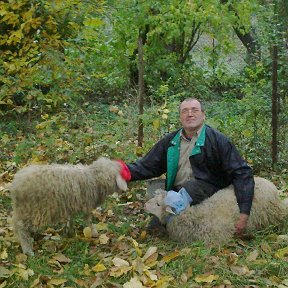 Фотография "Мені десяток п'ятий вже минуло,
Пасу ягнята за селом.
І, Боже, дай, щоб ще так було
Літ сорок вісім із гачком !!!"