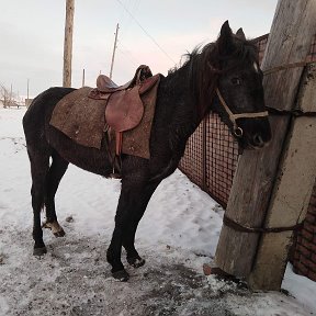 Фотография от Данил Федотов