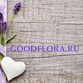 Фотография от Интернет-Магазин GoodFlora