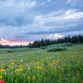 Фотография от Людмила Дмитриева(Высоцкая)