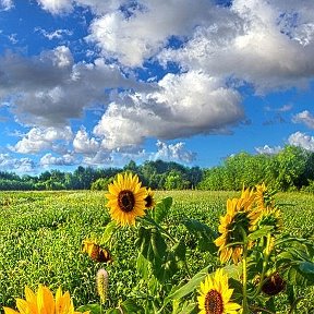 Фотография от Даша Кошкина