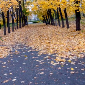 Фотография от Вера Попова