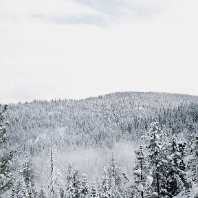 Фотография от Владимир Донцов