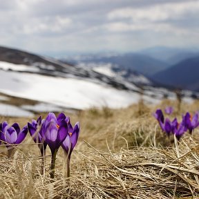 Фотография от Борис Бабарыкин