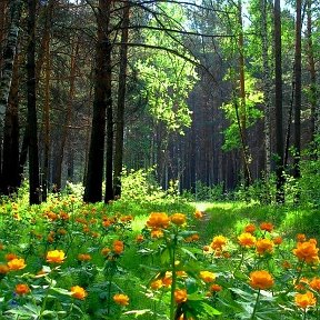 Фотография от лариса яковлева