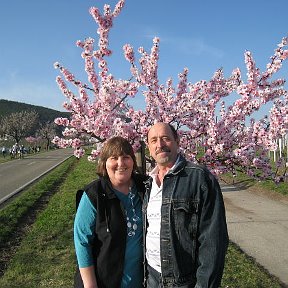Фотография "На цветущей улице 24 Марта
у нас весна началась."