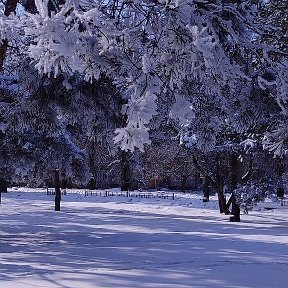 Фотография от Татьяна Денисова