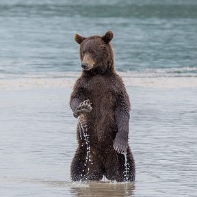 Fotografie de la Кшиштоф Пипетцкий