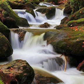 Фотография от дина лапина(Береснева)