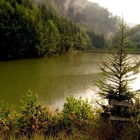 Фотография от Елена Тертий