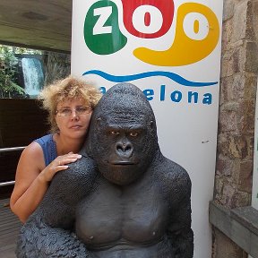 Фотография "Барселона, зоопарк, кинг конг и я."