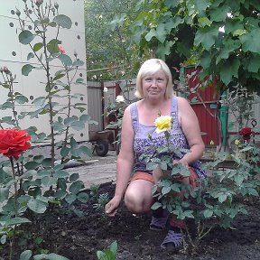 Фотография "И на Луганщине будут розы цвести!"