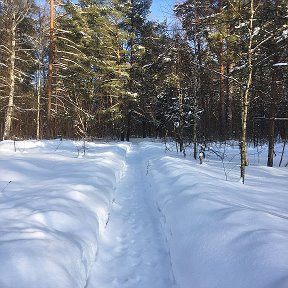 Фотография от Татьяна Михеева (Баранова)