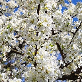 Фотография от Мария Жаворонкина