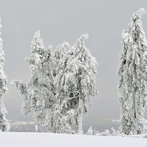 Фотография от Ирина Шилова(Прасалова)