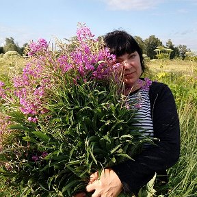 Фотография "Благодарите за каждый день,прожитый на земле!"