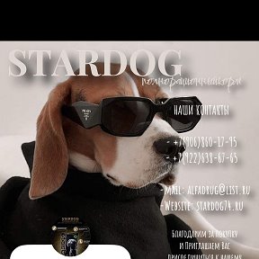 Фотография от Евгений Корм Stardog