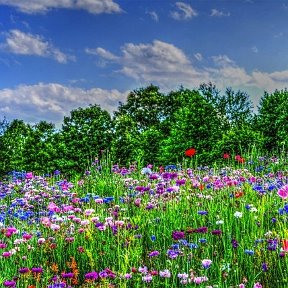 Фотография от Светлана Дегтярева