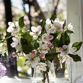 Фотография от Галина Разуваева (Баженова)