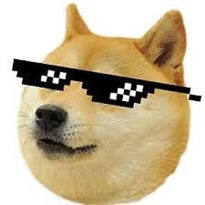 Фотография от DOGe FUN