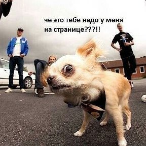 Фотография от ☼Татьяна☼ ♥Шик♥(Щербачевич)