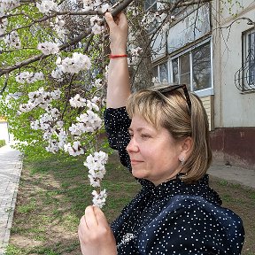 Фотография от Вера Перехрест