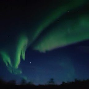 Фотография от сергей буркалов