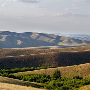 Фотография от мурат дюсупов