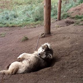 Фотография от Александр Просекин