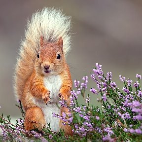 Фотография от Ирина Смолина(Бердник)