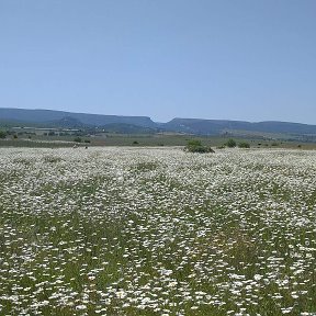 Фотография от Татьяна Мельникова (Чернушенко)