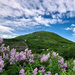 Фотография от Виктория Мещерякова