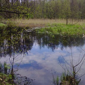 Фотография от Вера Губина (Лобачева)