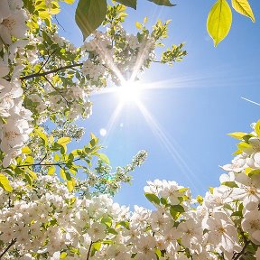 Фотография от Олег Дивеевский