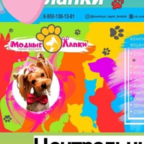 Фотография от Груминг Салон 🐾Модные лапки 🐾