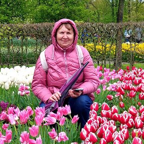Фотография "Парк тюльпанов в Голландии "