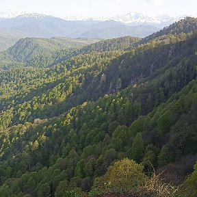 Фотография от инна голубь ( Малицкая)