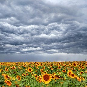 Фотография от Сергей Берестнев