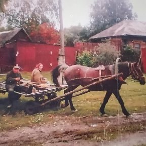 Фотография от михаил собакин