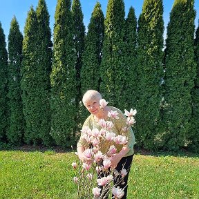 Фотография "У Оли расцвела малышка магнолия."